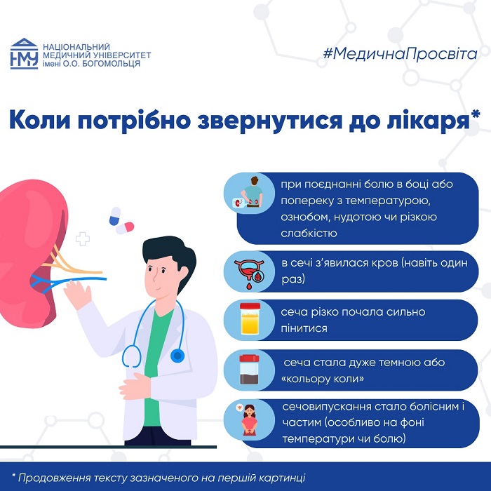 Як зберегти здоров’я нирок: рекомендації експертів